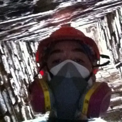 Chimney Inspection in Dedham, MA — Inside flue ppe