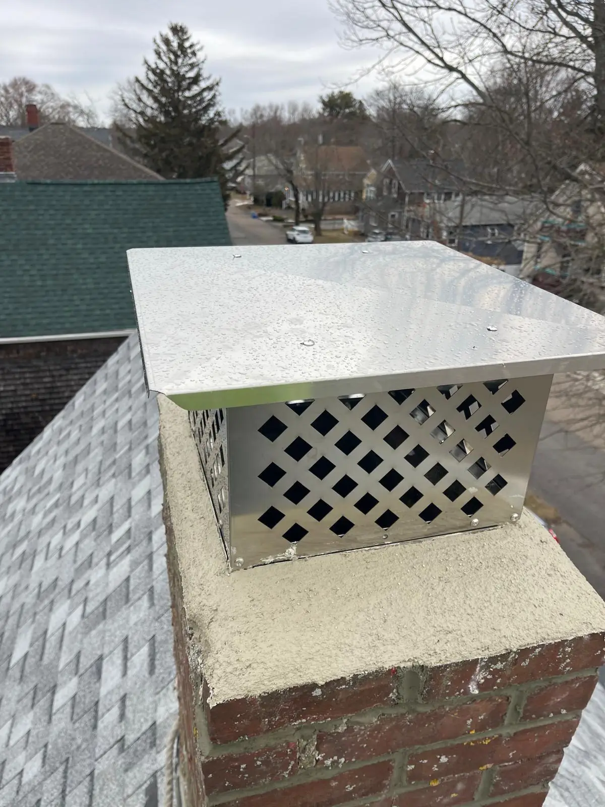 Close-up of a stainless steel chimney cap with lattice mesh sides